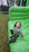 img20230416wa0046_small.jpg