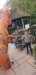 img20230416wa0067_small.jpg