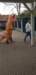 img20230416wa0101_small.jpg
