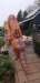 img20230416wa0105_small.jpg